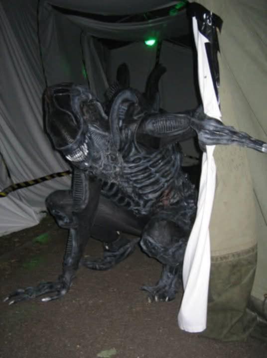 Movie Accurate Costumes